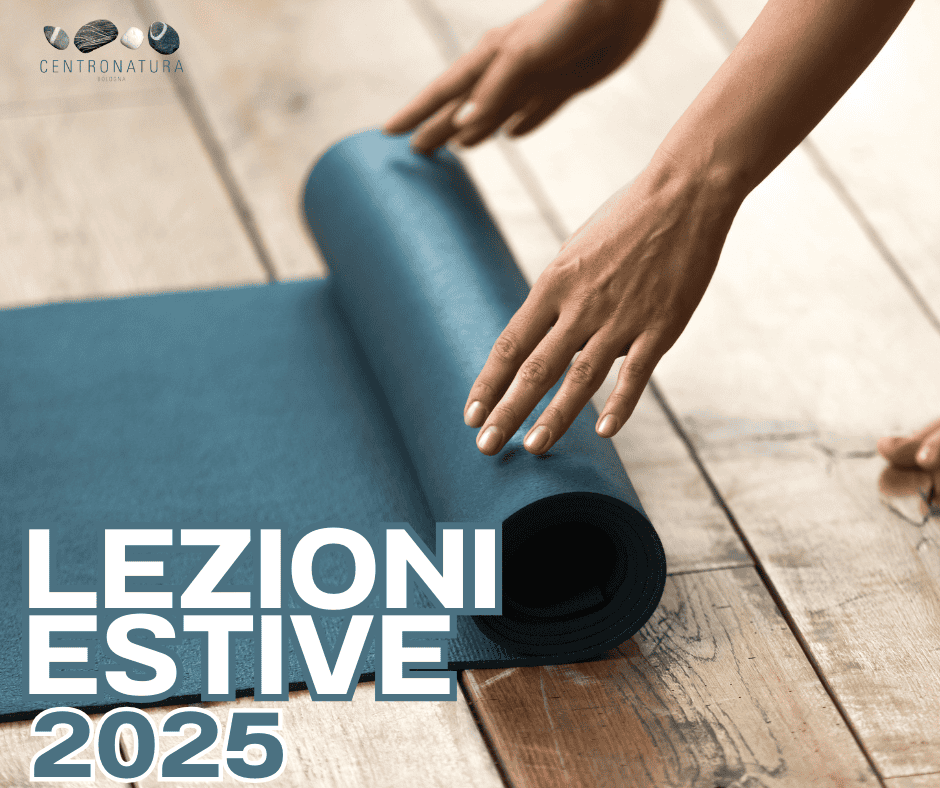 Al momento stai visualizzando LEZIONI ESTIVE 2025