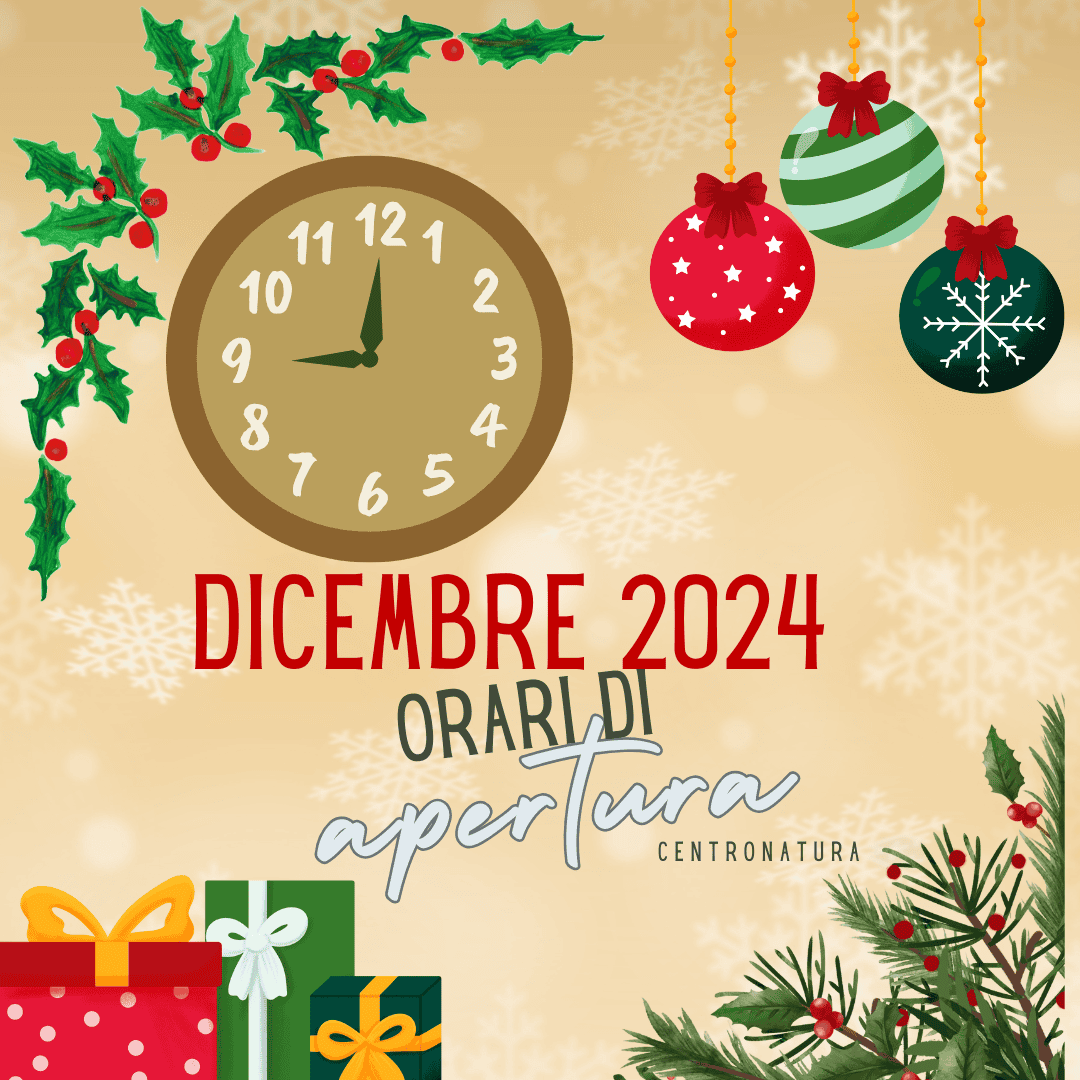 Al momento stai visualizzando ORARIO DICEMBRE 2024