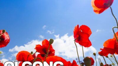 SEMINARIO STAGIONALE DI QI GONG: ESTATE