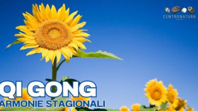 SEMINARIO STAGIONALE DI QI GONG: ESTATE