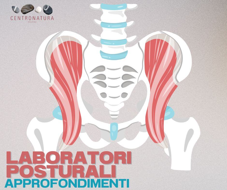 Al momento stai visualizzando LABORATORI POSTURALI