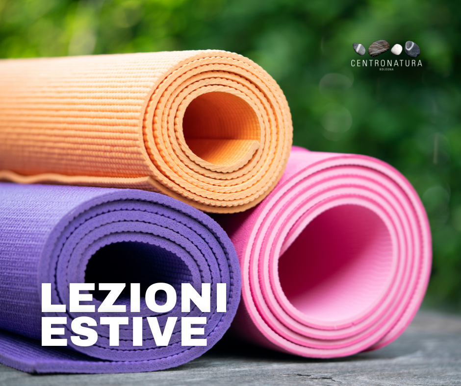 Al momento stai visualizzando LEZIONI ESTIVE 2026