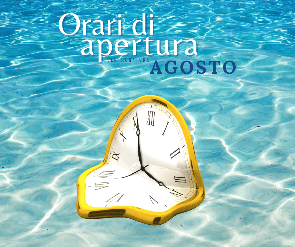 Al momento stai visualizzando ORARI DI APERTURA – Agosto 2025
