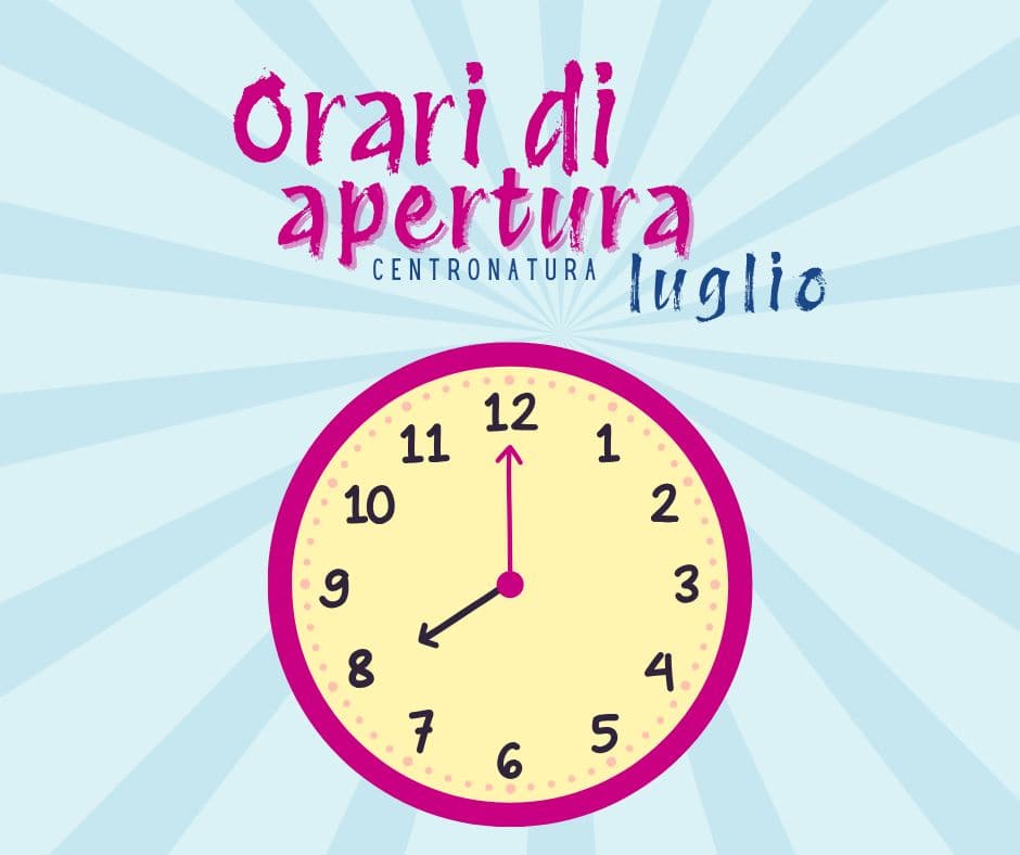 Al momento stai visualizzando ORARI DI APERTURA – Luglio 2025
