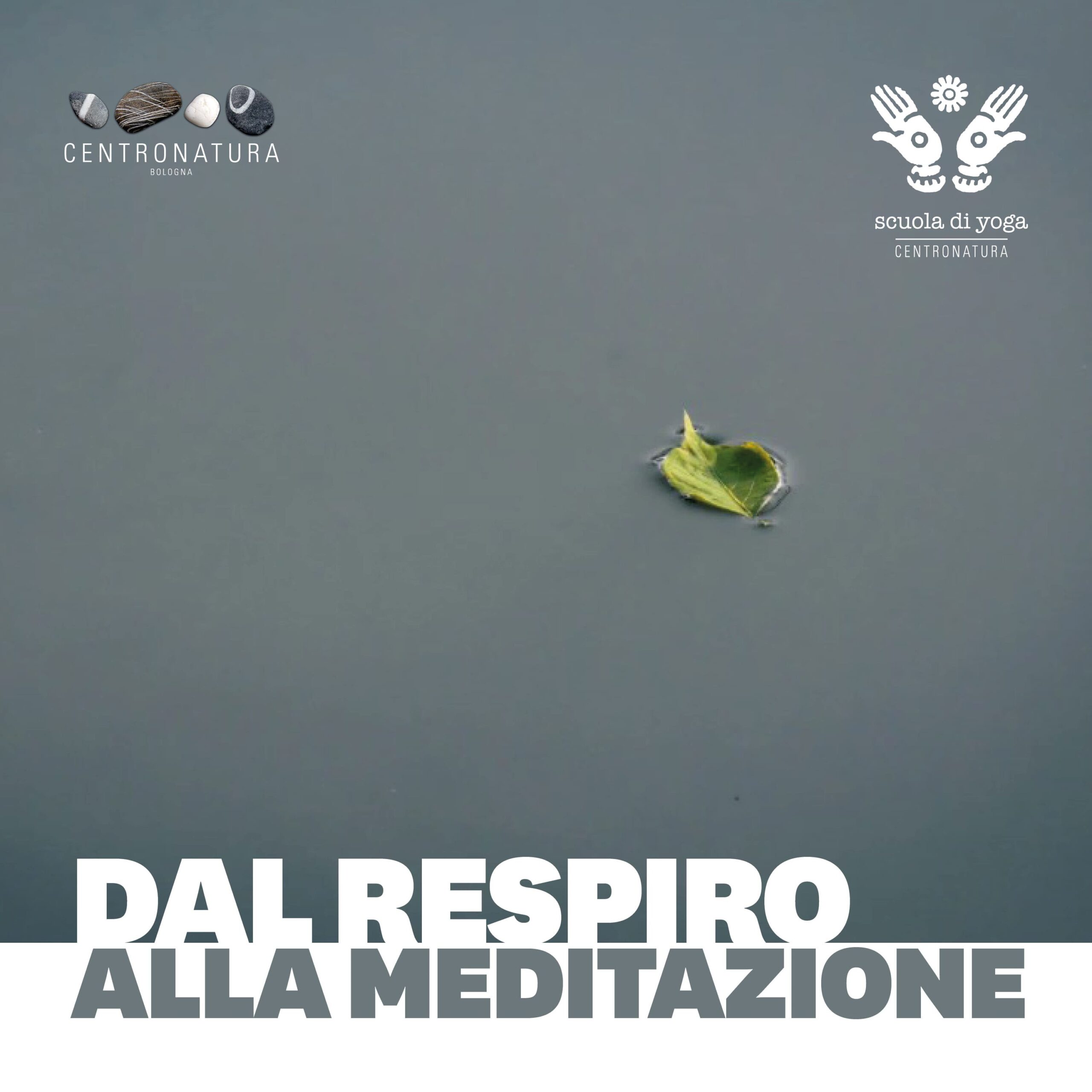 Al momento stai visualizzando Da prāṇāyāma a dhāranā: coltivare il respiro per coltivare la mente.