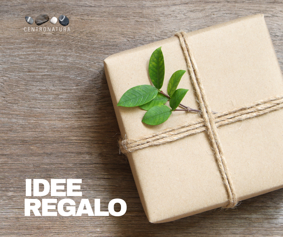 Al momento stai visualizzando IDEE REGALO CENTRONATURA