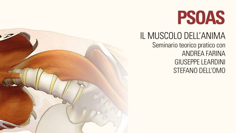 Seminari yoga centro natura_ PSOAS